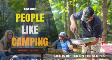 Exploring the Popularity of Camping: How Many People Love the Great Outdoors?
