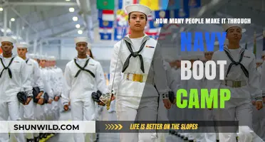 Navy Boot Camp Completion Rates: Who Makes It Through?