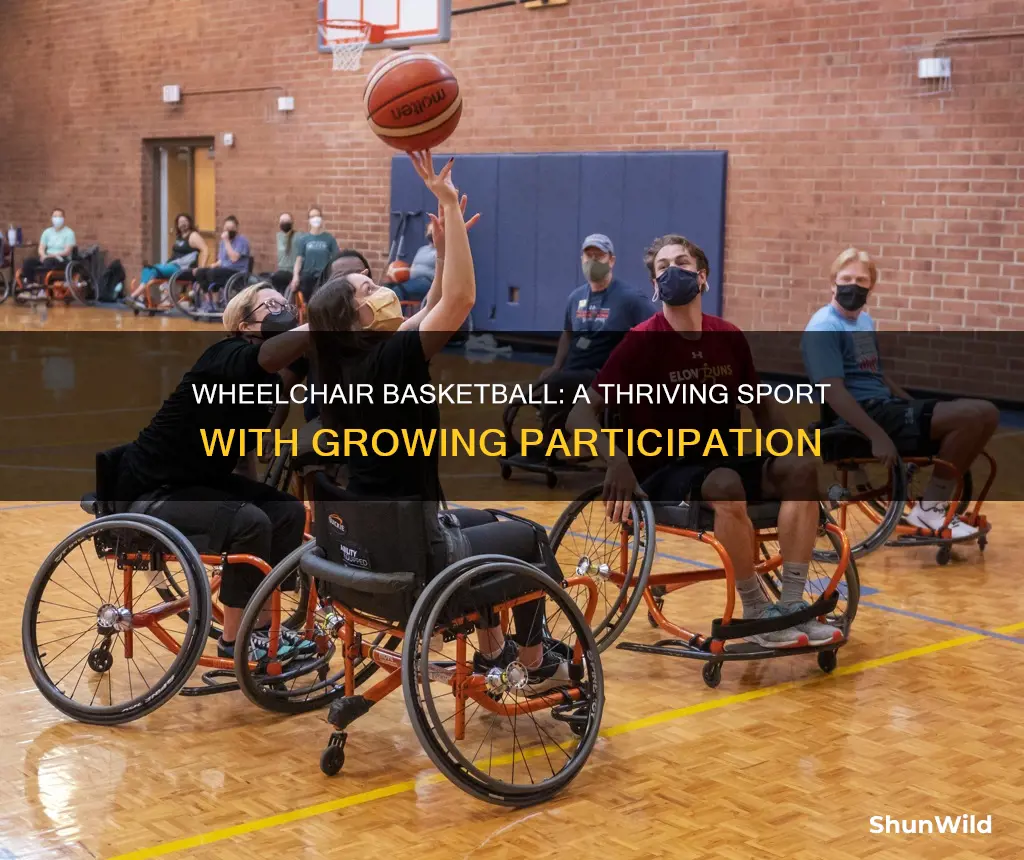 how many people participate in wheelchair basketball
