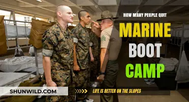 Why So Many Recruits Quit Marine Boot Camp: Uncovering the Truth