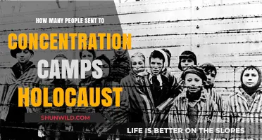 Holocaust Concentration Camps: Uncovering the Devastating Number of Victims