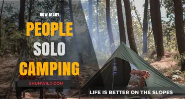 Solo Camping Trends: How Many People Camp Alone?