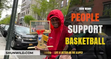 Basketball's Massive Fan Following Explained