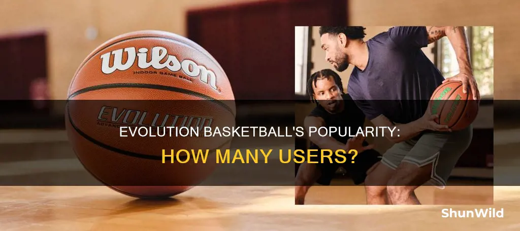 how many people use evolution basketball