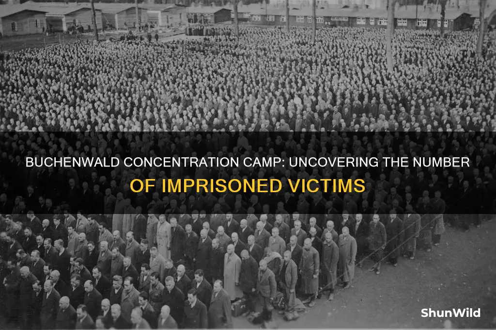 how many people were imprisond in buchenwald concentration camp