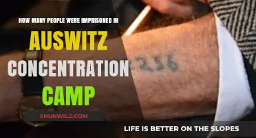 Auschwitz Concentration Camp: Unveiling the Devastating Prisoner Numbers