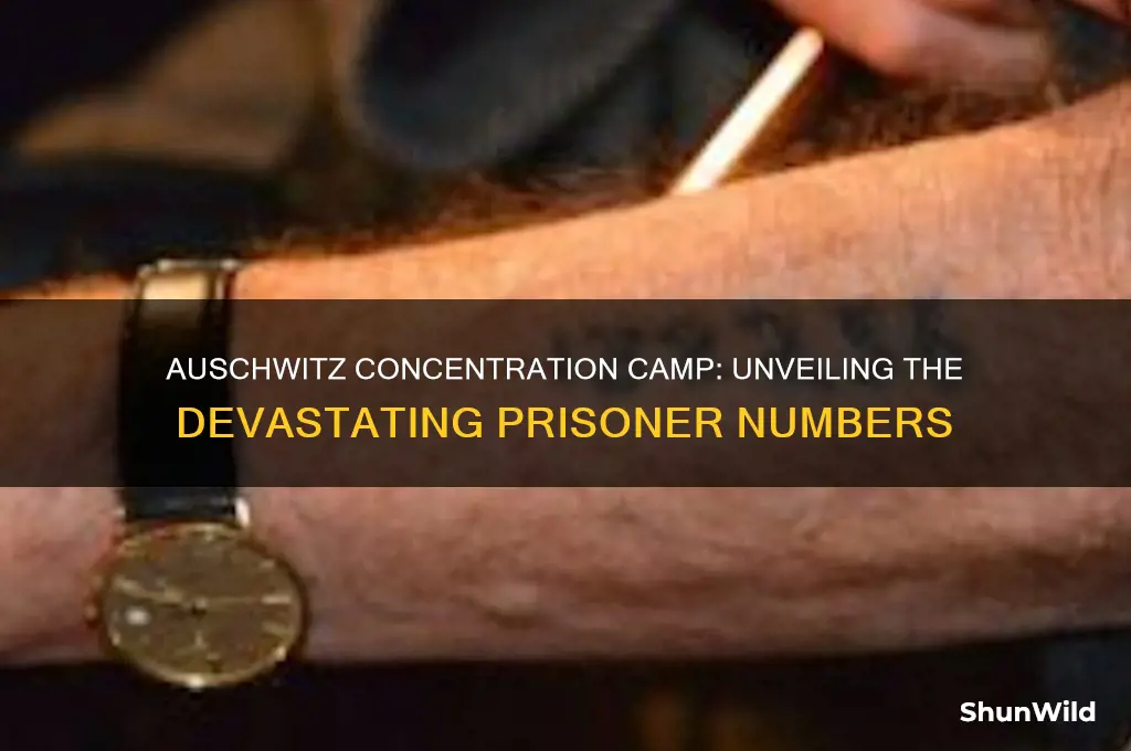 how many people were imprisoned in auswitz concentration camp