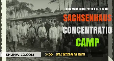 Sachsenhausen Concentration Camp: Uncovering the Devastating Death Toll