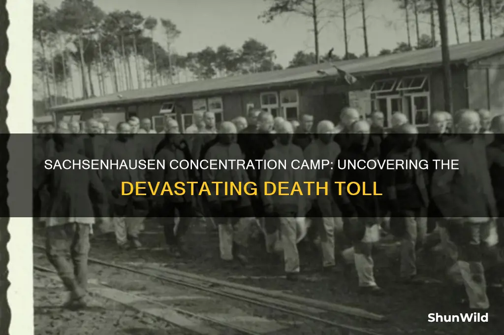 how many people were killed in the sachsenhausen concentration camp