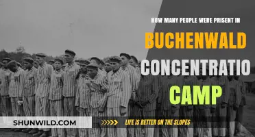Buchenwald Concentration Camp: Uncovering the Number of Prisoners Held
