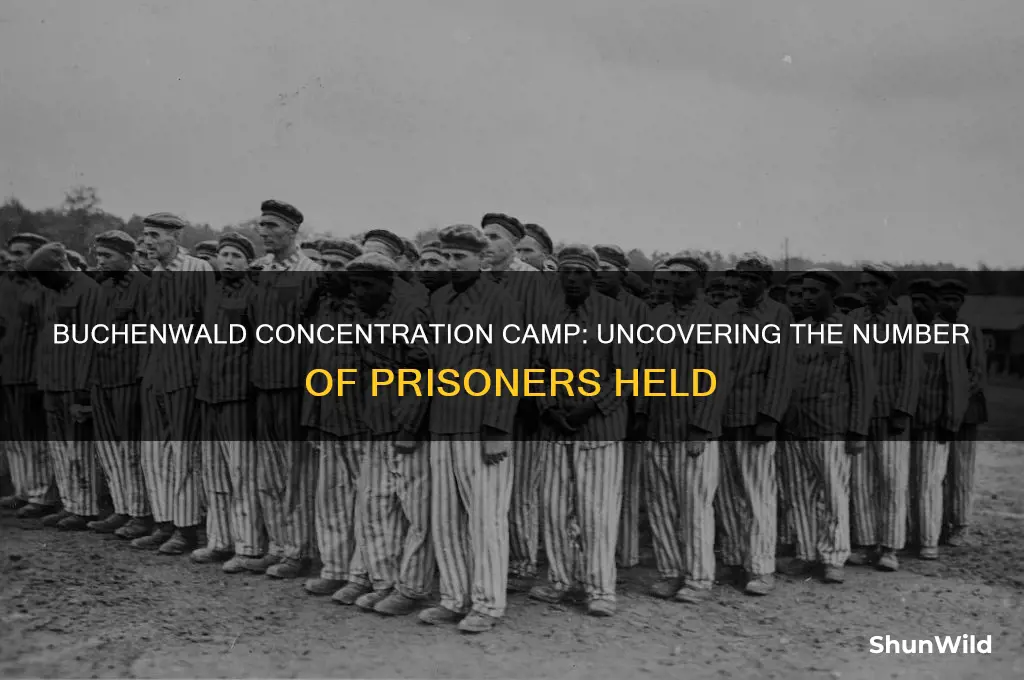 how many people were prisent in buchenwald concentration camp