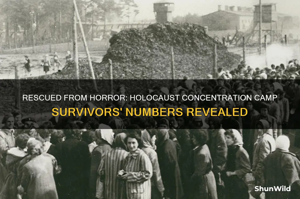 how many people were saved from the holocaust concentration camps