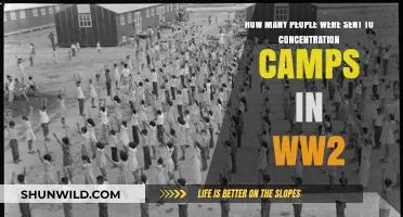 WWII Concentration Camps: Understanding the Scale of Human Deportation