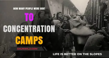 Unveiling the Devastating Scale of Concentration Camp Deportations