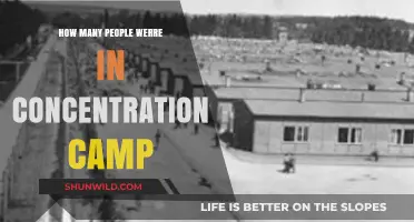 Unveiling the Devastating Scale of Concentration Camp Incarcerations