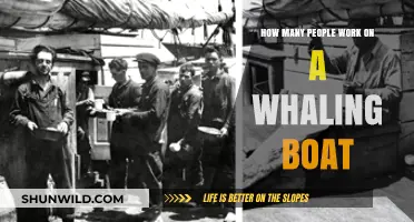 Whaling Boat Crew: Unveiling the Secrets of a Small, Dedicated Team