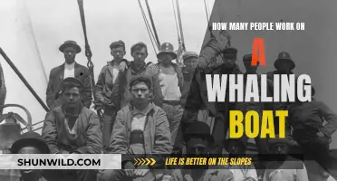 Exploring Whaling Boat Crews: How Many People Are Required?