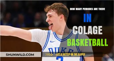 The Dynamic Nature of College Basketball Seasons