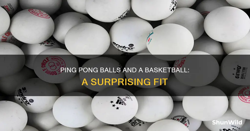 how many ping pong balls fit in a basketball