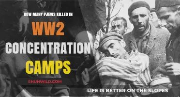 The Holocaust's Devastation: Jewish Lives Lost in Concentration Camps