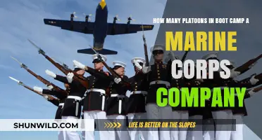 Marine Corps Boot Camp: Platoon Structure in a Company Explained