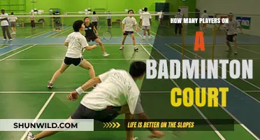 Badminton Court Basics: How Many Players Allowed?