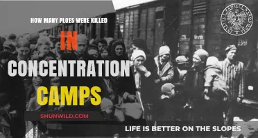 The Devastating Toll: Poles Killed in Concentration Camps