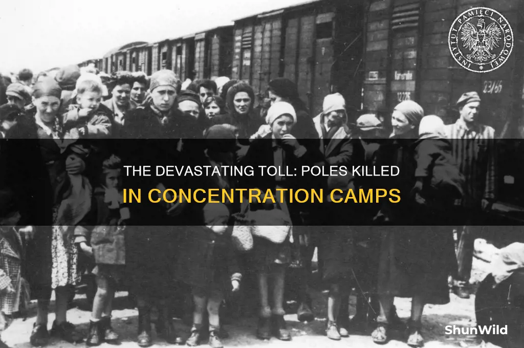how many ploes were killed in concentration camps