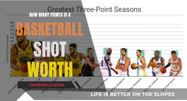 Basketball Shots: Understanding Point Values