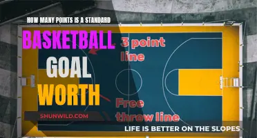 Standard Basketball Goal Points: The Ultimate Guide