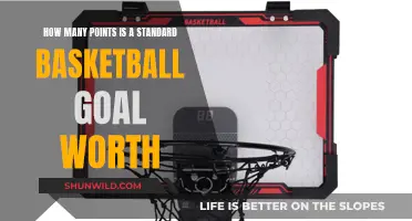 The Value of a Standard Basketball Goal