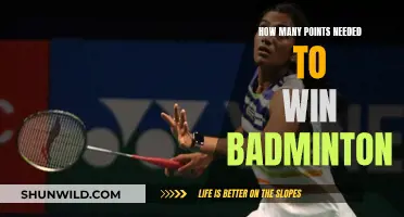 Badminton Victory: Understanding the Scoring System
