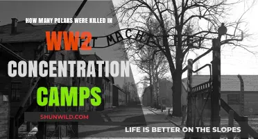 Polish Victims in WWII Concentration Camps: A Tragic Toll