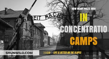 Polish Victims in Nazi Concentration Camps: A Tragic Toll