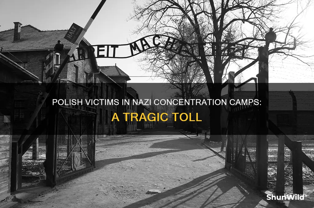 how many poles died in concentration camps