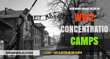 Polish Victims in WWII Concentration Camps: A Tragic Toll