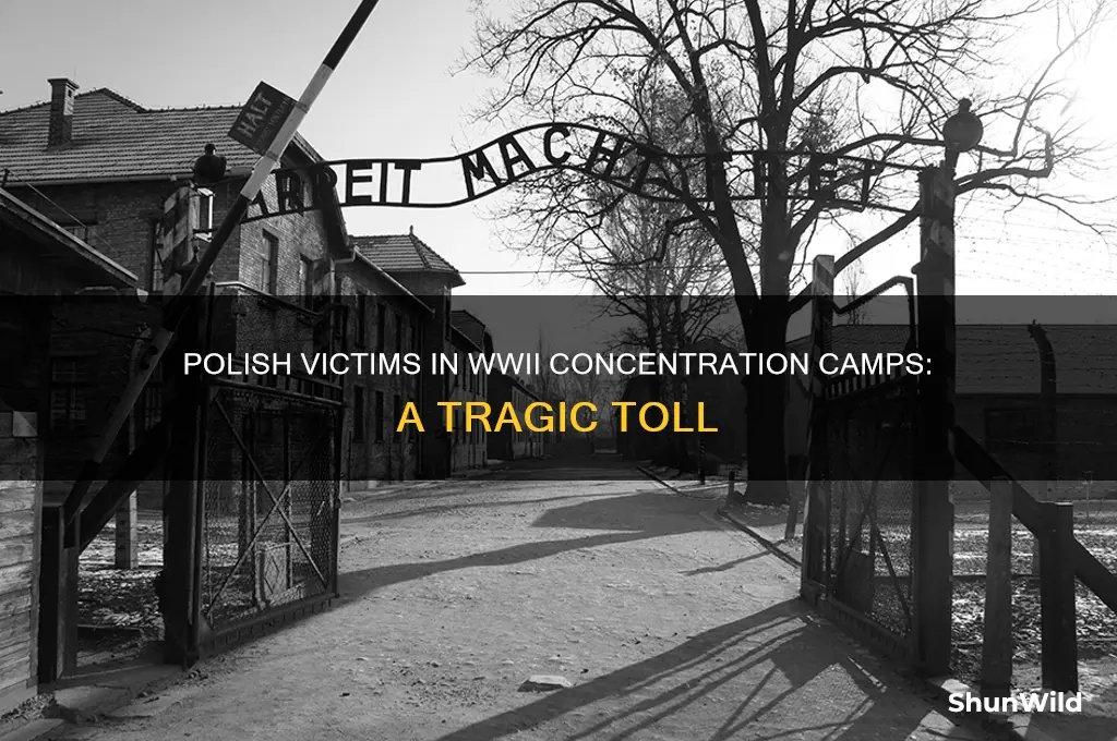 how many polish killed in ww2 concentration camps