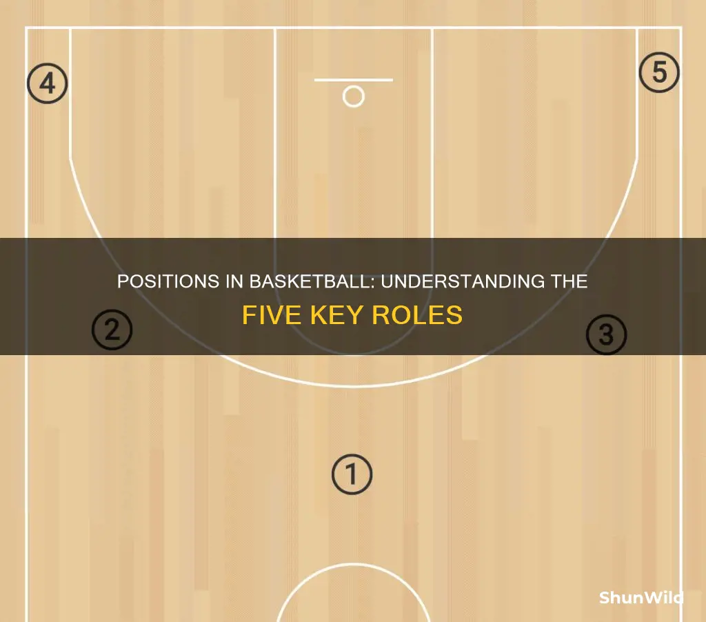 how many position are in basketball