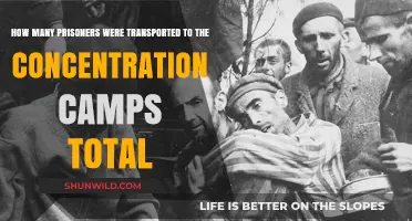 Total Number of Prisoners Transported to Concentration Camps Revealed