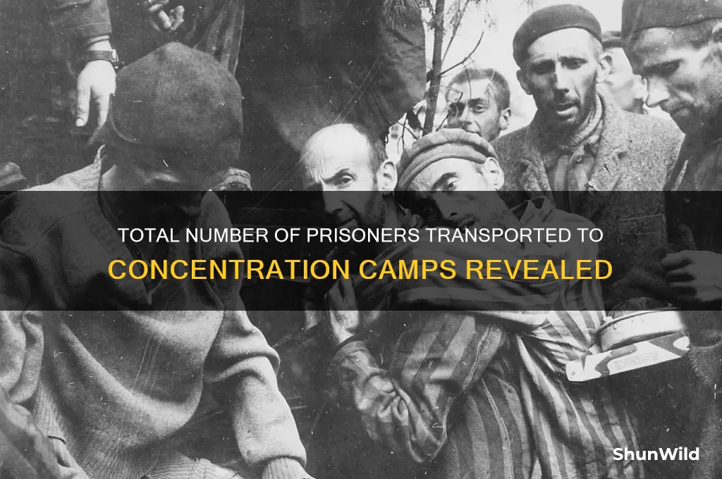 how many prisoners were transported to the concentration camps total