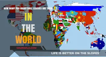 Basketball's Pro League Scene: A Global Overview