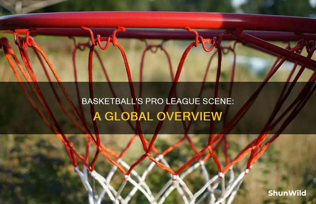 how many pro basketball leagues are there in the world