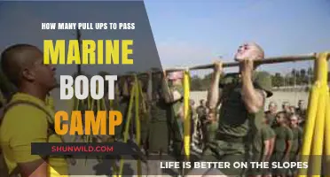 Mastering Pull-Ups: Marine Boot Camp Standards and Training Tips