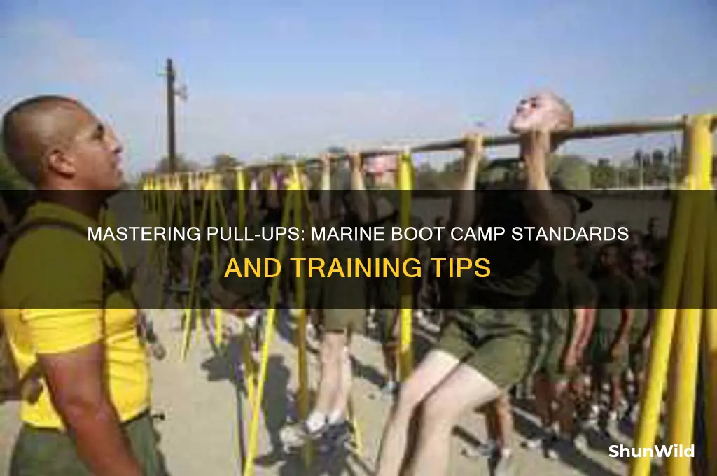 how many pull ups to pass marine boot camp