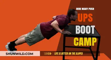 Mastering Push-Ups: Boot Camp Standards and Training Tips