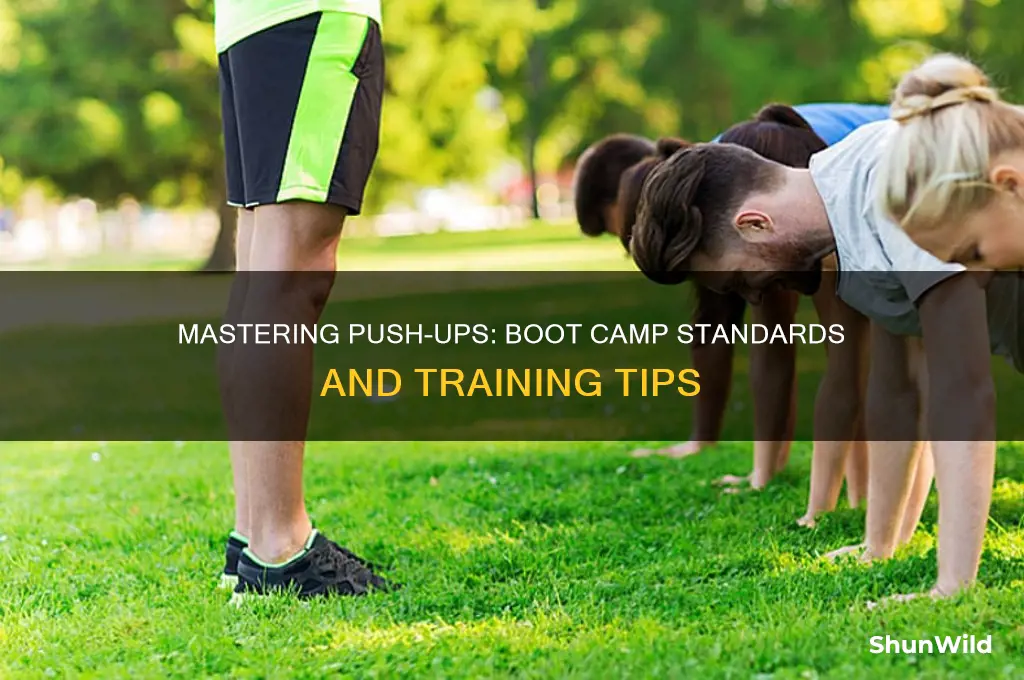 how many push ups boot camp