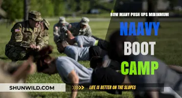 Navy Boot Camp Push-Up Requirements: Minimum Reps to Pass Training