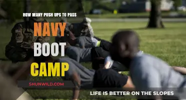 Mastering Push-Ups: Navy Boot Camp Fitness Requirements Explained