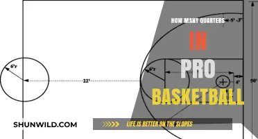 Understanding the Pro Basketball Game Quarters