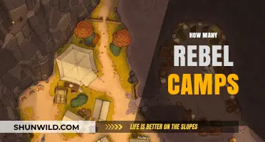 Exploring the Count and Locations of Rebel Camps Worldwide